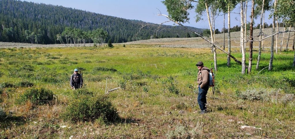 Field Work