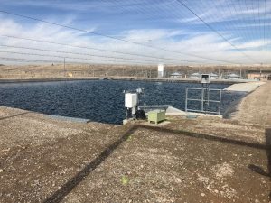 Fish Hatchery 3