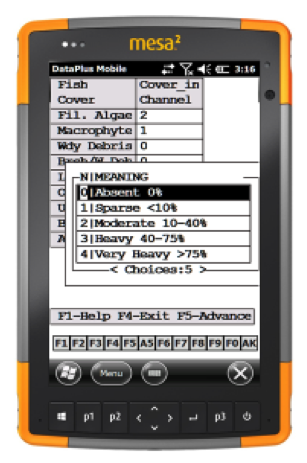 Mesa 2 WR 4 e1462307469541