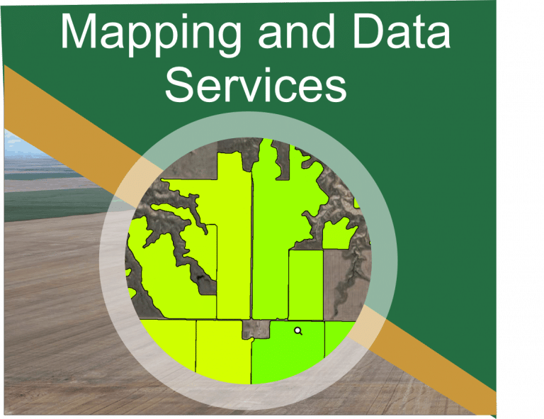 Mapping 768x591 1